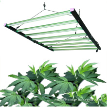 LED Grow Light for Indoor